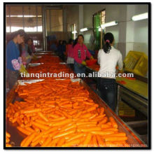 Großhandel Karotten aus China